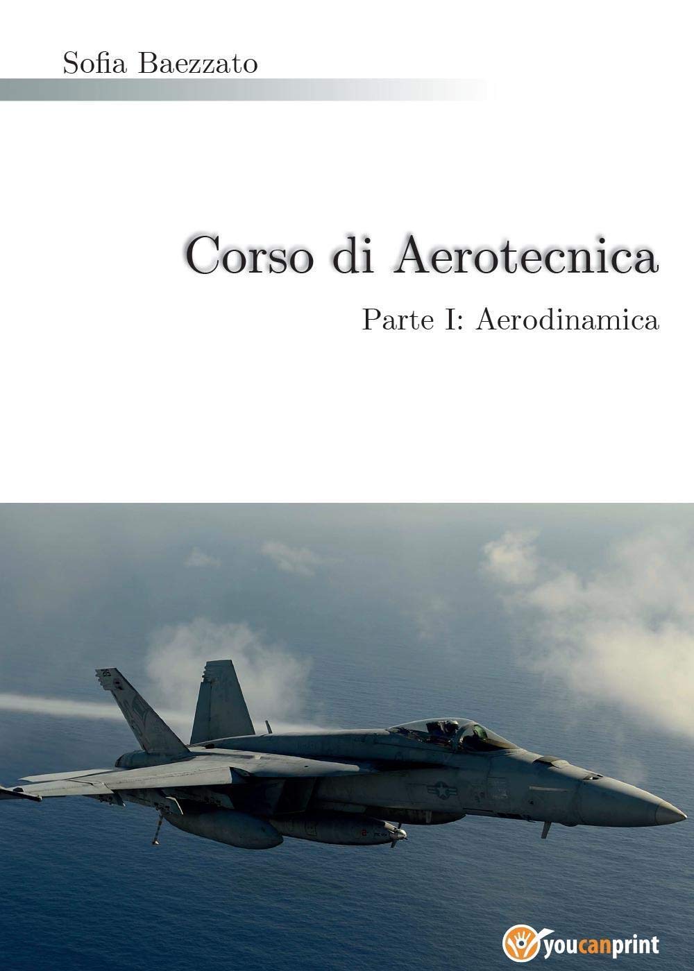 Corso di Aerotecnica Parte I: Aerodinamica Business & Technology