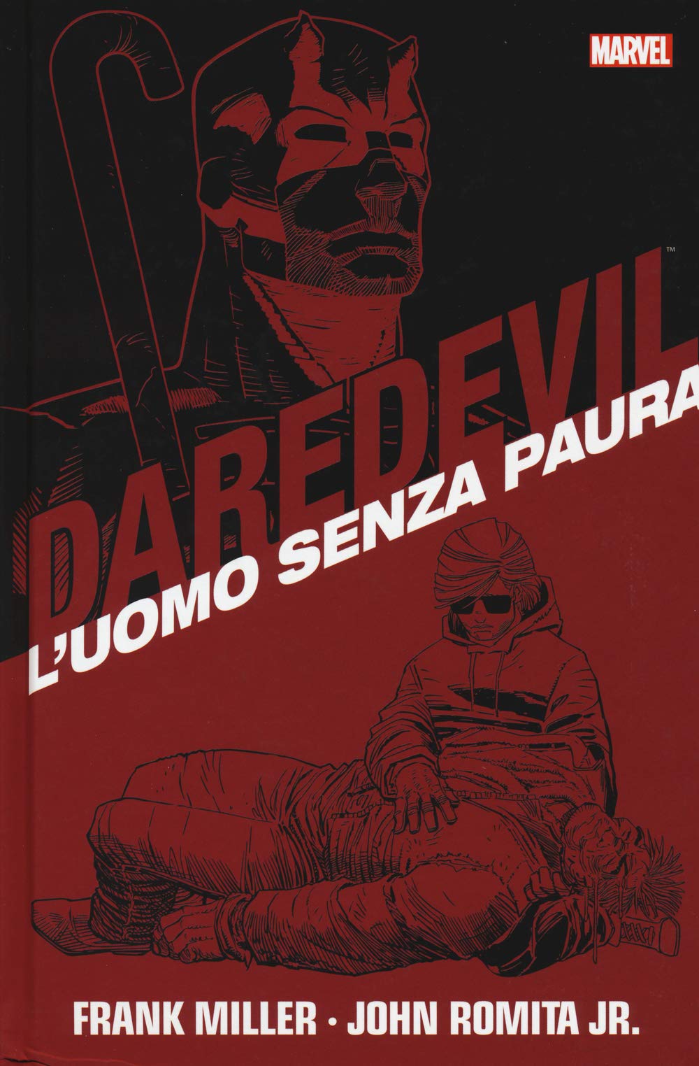 L'uomo senza paura. Daredevil collection (Vol. 1) book