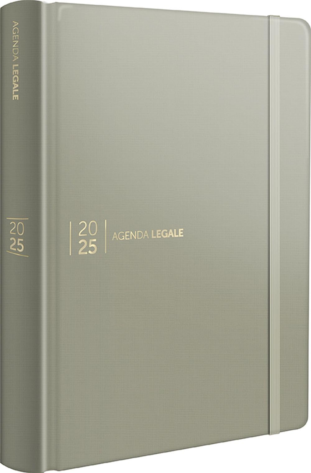 Agenda legale 2025. Ediz. silk gray. Con web app Agenda Legale Pro book