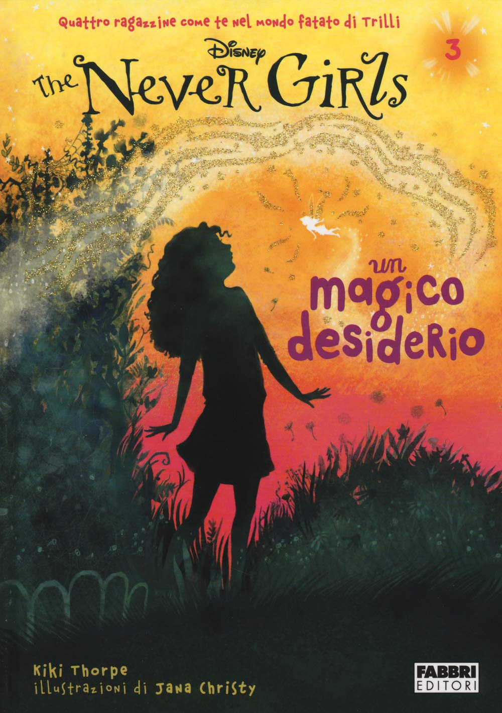 Un magico desiderio. The Never Girls (Vol. 3) book