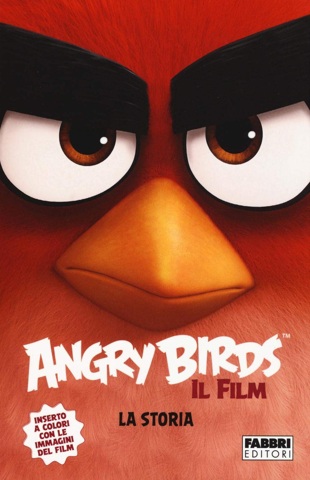 Angry Birds il film. La storia. Ediz. illustrata book
