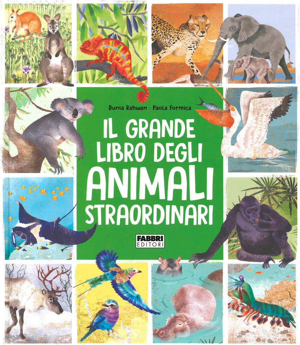 Il grande libro degli animali straordinari book