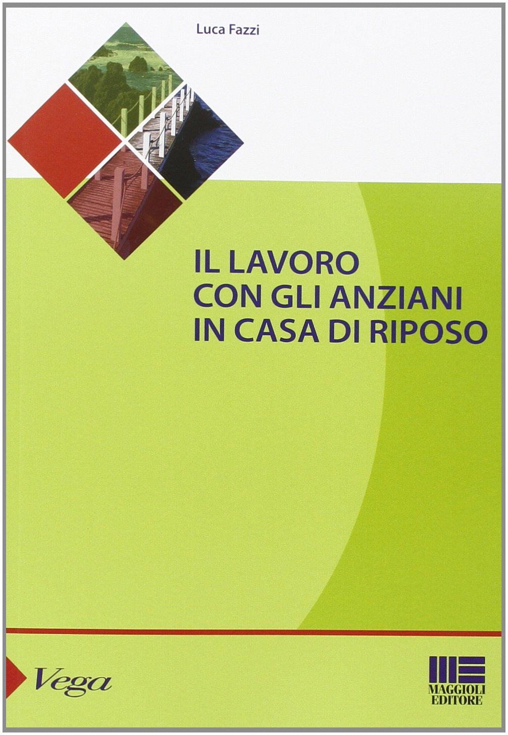 Il lavoro con gli anziani in casa di riposo book