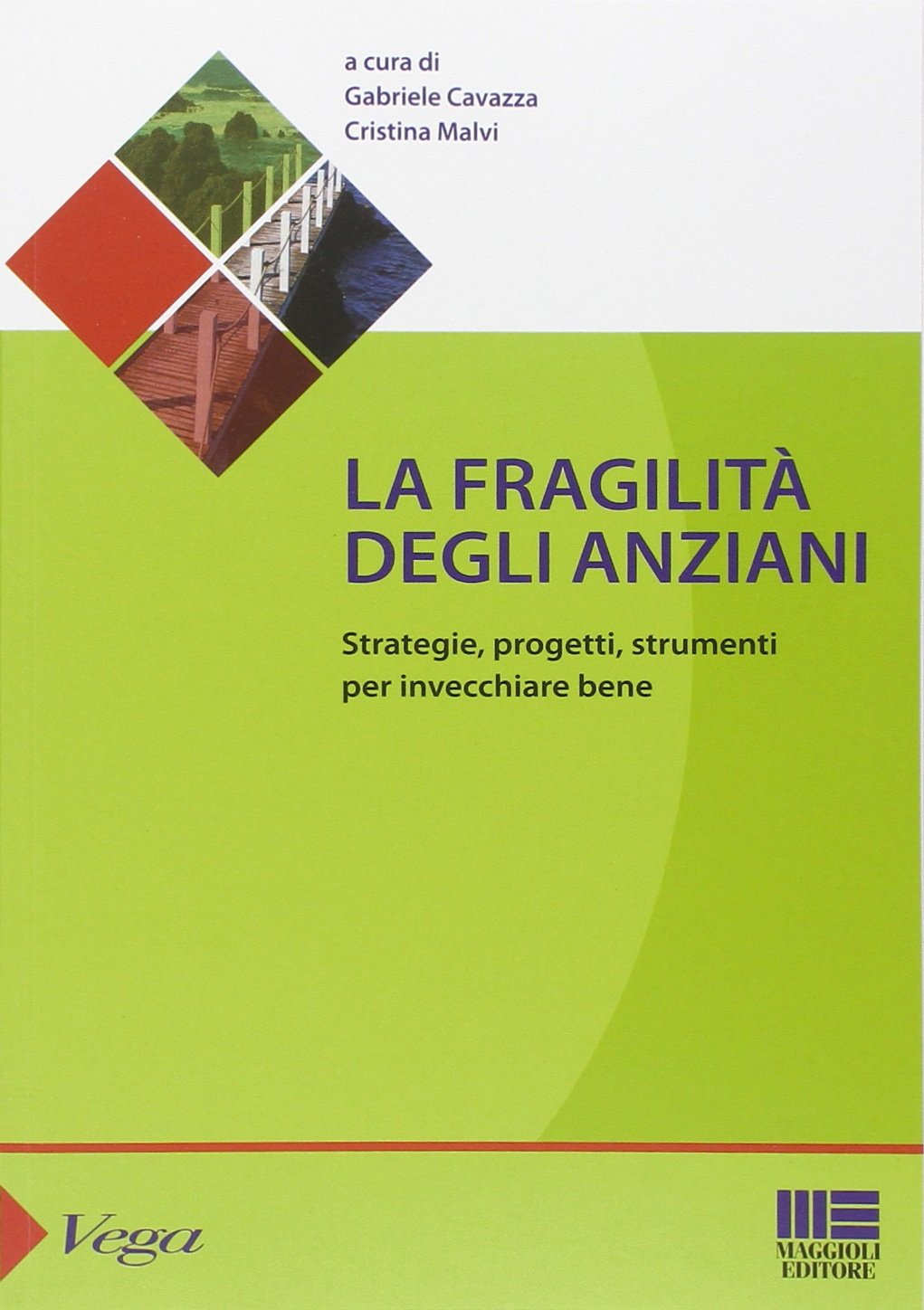 La fragilità degli anziani. Strategie, progetti, strumenti per invecchiare bene (Sociale & sanità) Social Sciences