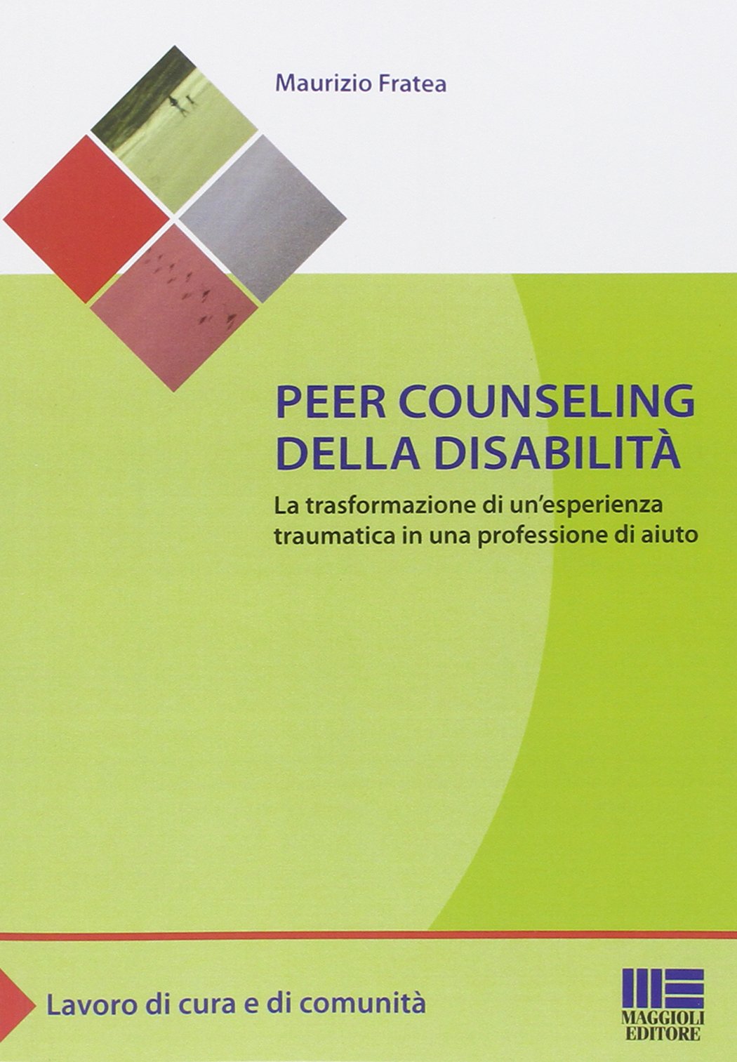 Peer counseling della disabilità. La trasformazione di un'esperienza traumatica in una professione di aiuto book