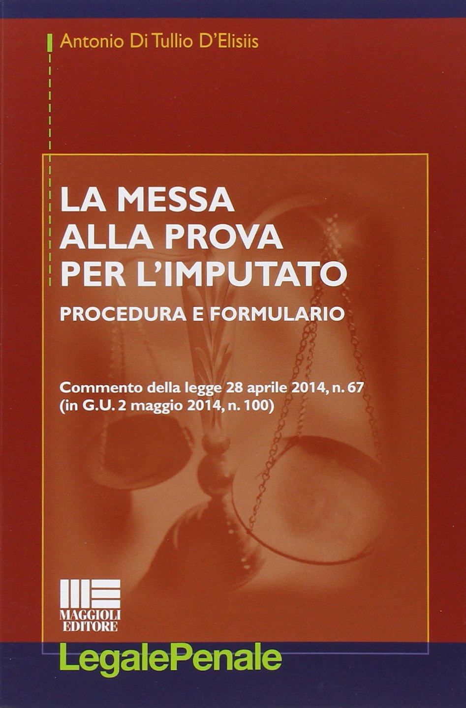 La messa alla prova per l'imputato book