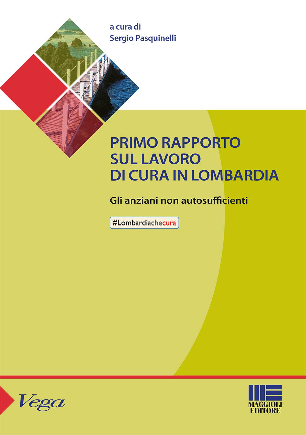 Primo rapporto sul lavoro di cura in Lombardia. Gli anziani non autosufficienti (Sociale & sanità) Social Sciences