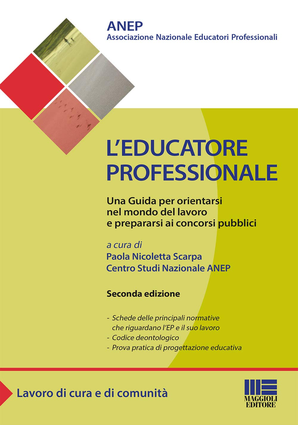 L'educatore professionale. Una guida per orientarsi nel mondo del lavoro e prepararsi ai concorsi pubblici book
