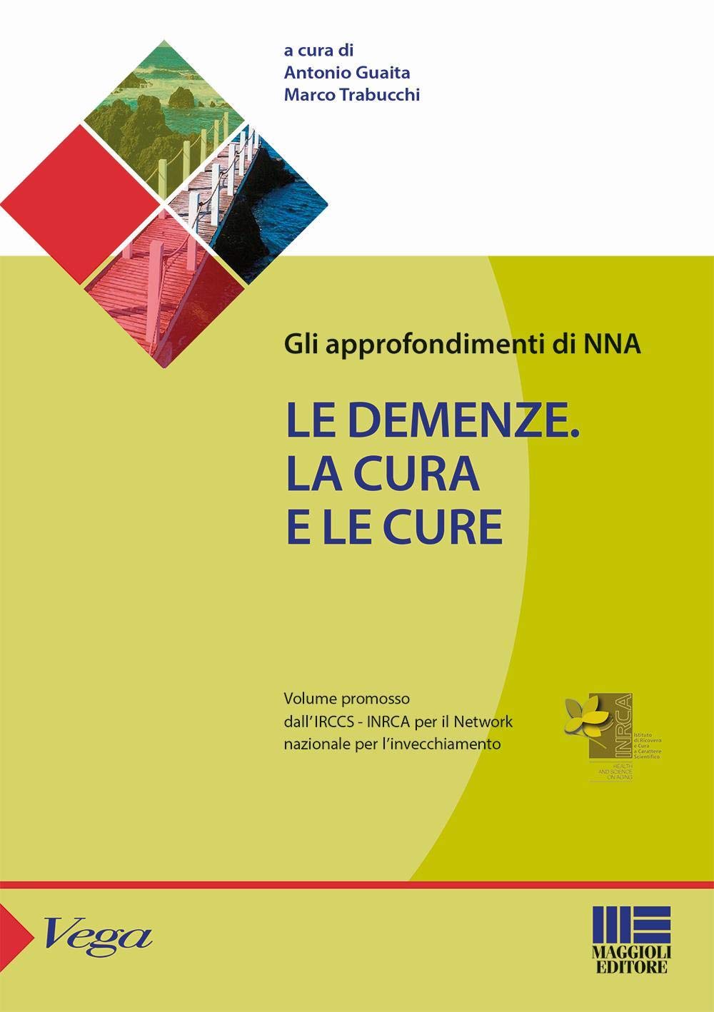 Le demenze. La cura e le cure book