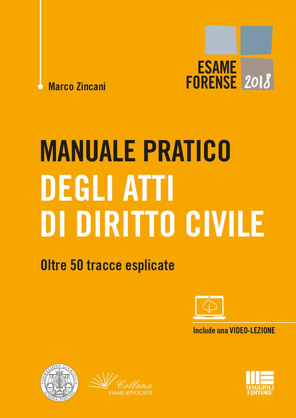 Manuale pratico degli atti di diritto civile (Legale) Law