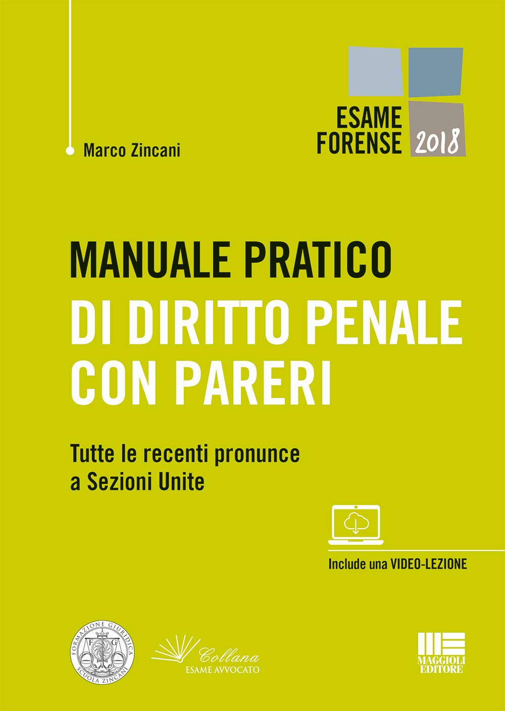 Manuale pratico di diritto penale con pareri. Tutte le recenti pronunce a Sezioni Unite book