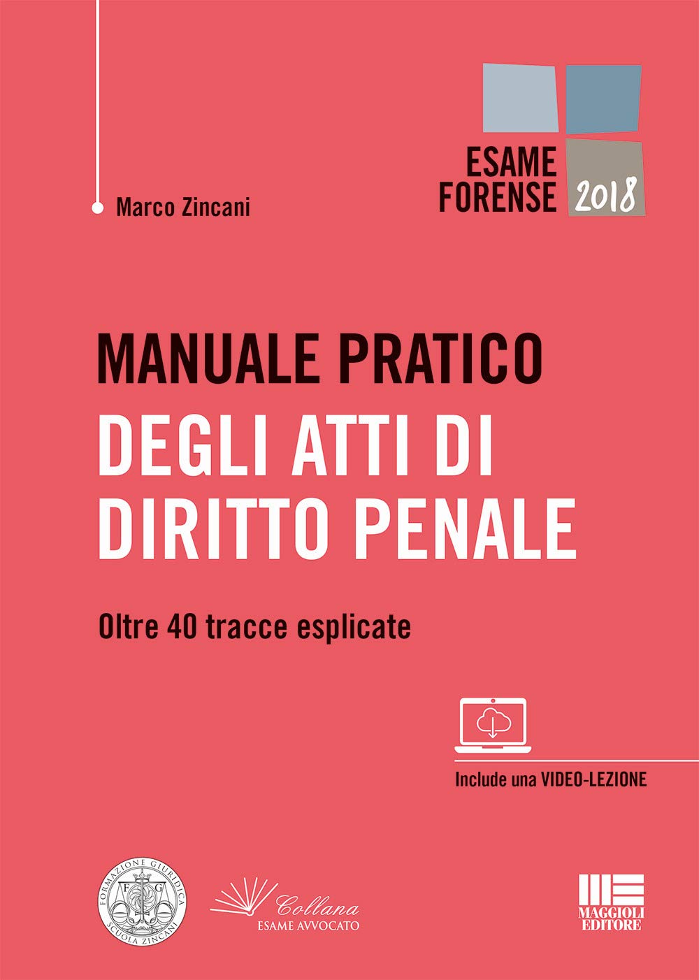 Manuale pratico degli atti di diritto penale. Oltre 40 tracce esplicate (Legale) Law