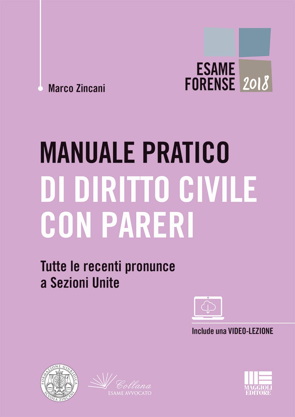 Manuale pratico di diritto civile con pareri. Tutte le recenti pronunce a Sezioni Unite (Legale) Law