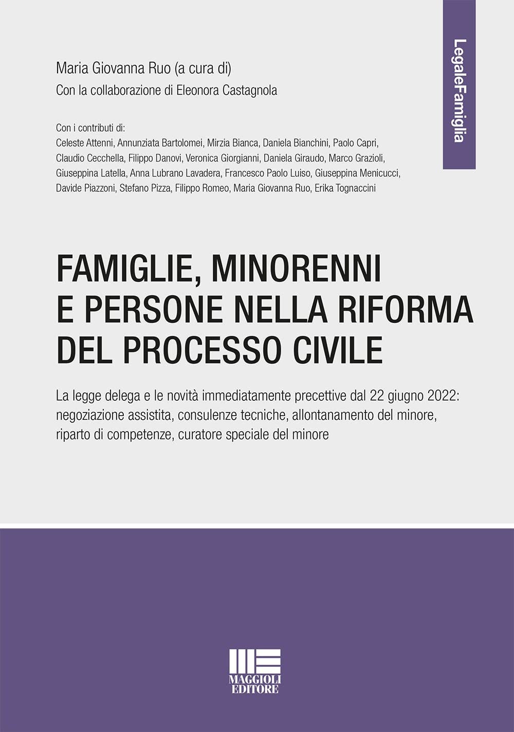 Famiglie, minorenni e persone nella riforma del processo civile book