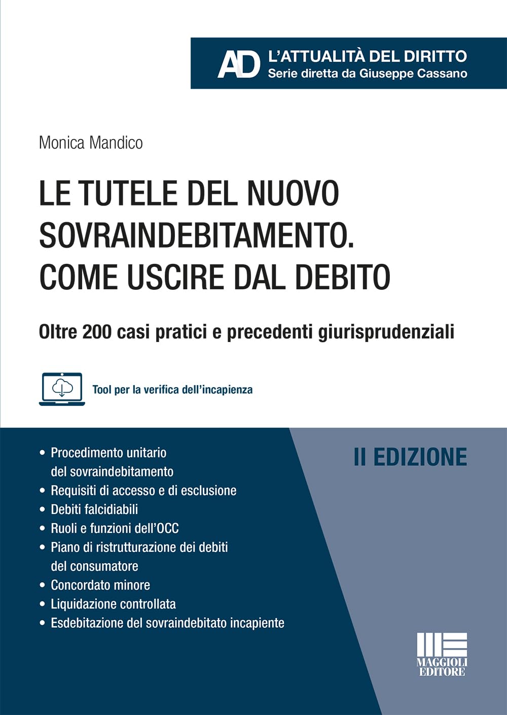 Le tutele del nuovo sovraindebitamento. Come uscire dal debito. Oltre 200 casi pratici e precedenti giurisprudenziali. Con tool per la verifica dell'incapienza book