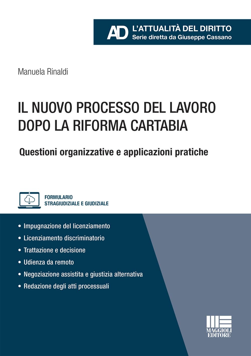 Il nuovo processo del lavoro dopo la Riforma Cartabia. Questioni organizzative e applicazioni pratiche. Con espansione online book