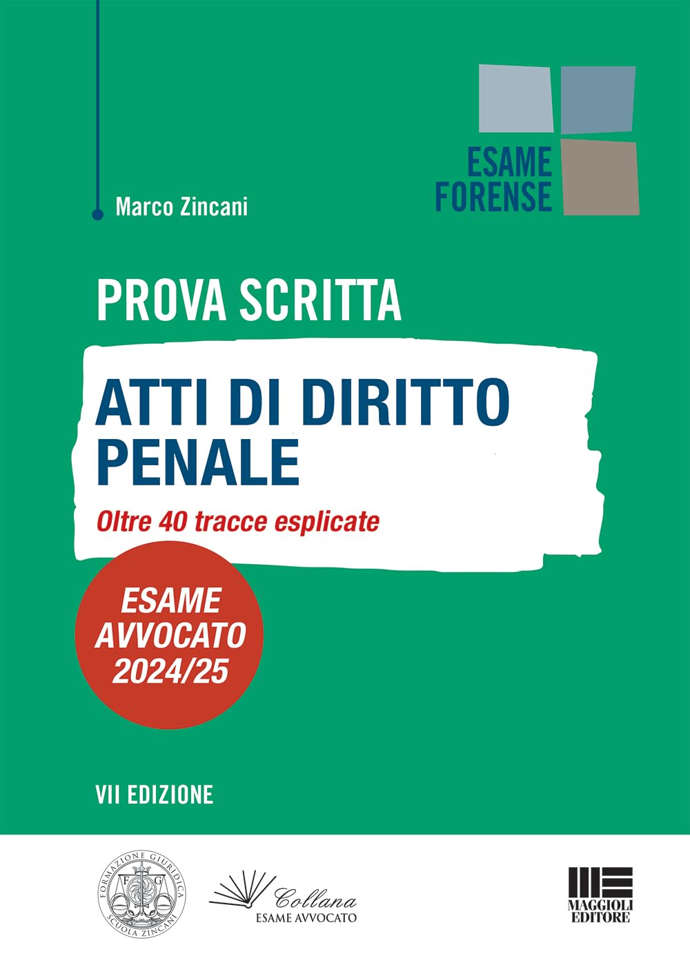 Prova Scritta - Atti di Diritto Penale oltre 40 tracce esplicate - Esame Avvocato 2024/25 book