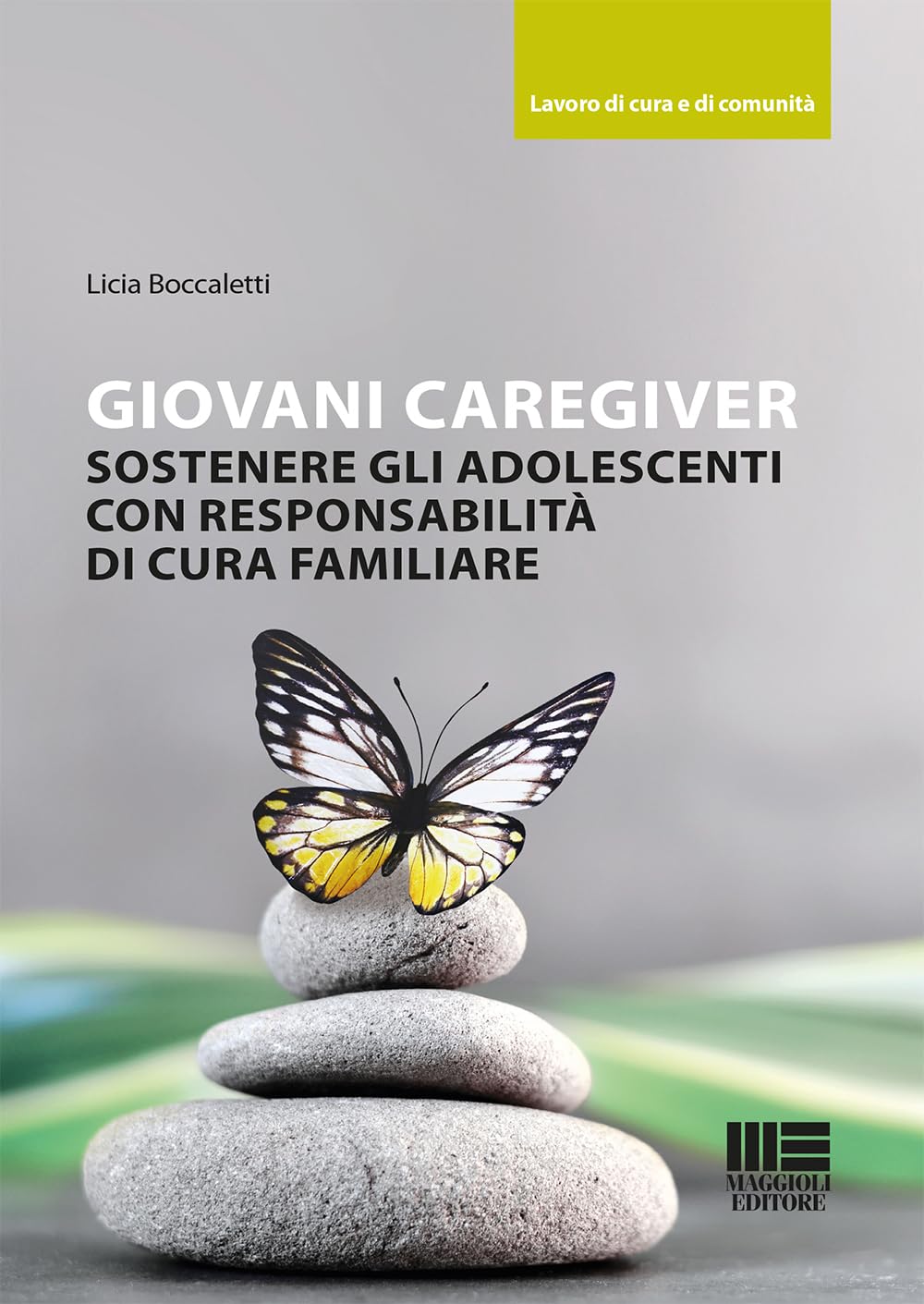 Giovani caregiver. Sostenere gli adolescenti con responsabilità di cura familiare book