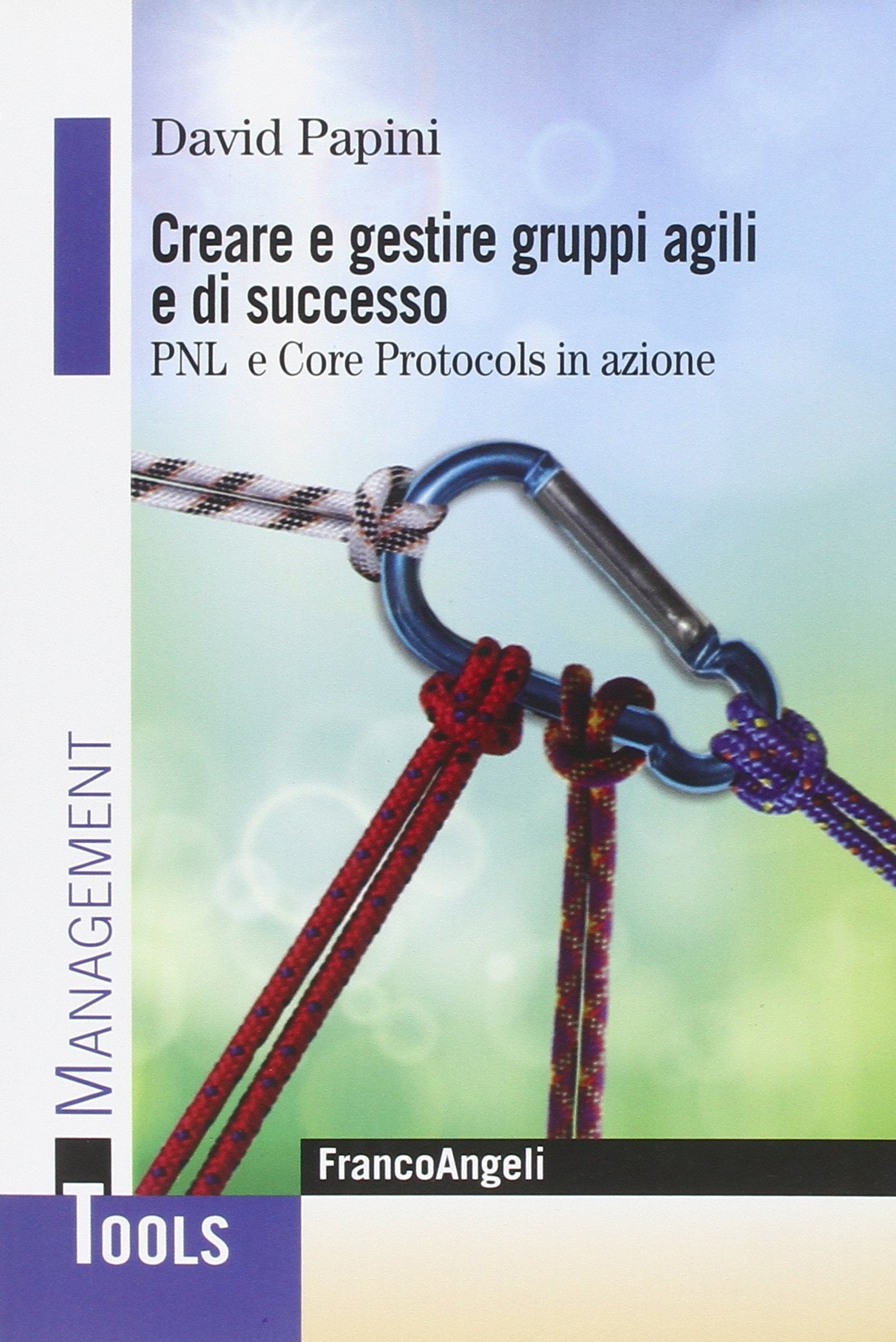 Creare e gestire gruppi agili e di successo. PNL e Core Protocols in azione (Management Tools) Business, Finance & Career