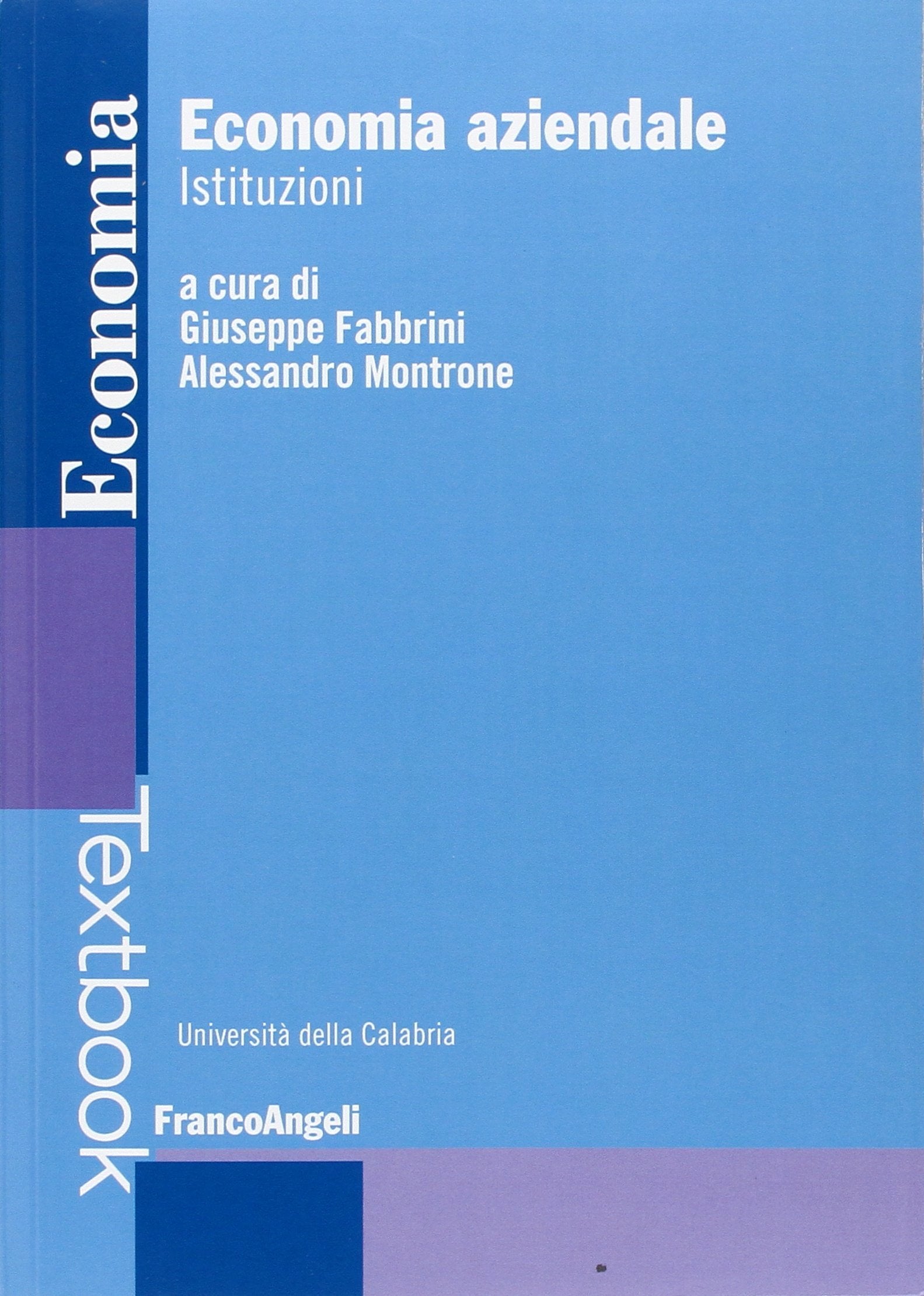 Economia aziendale. Istituzioni book