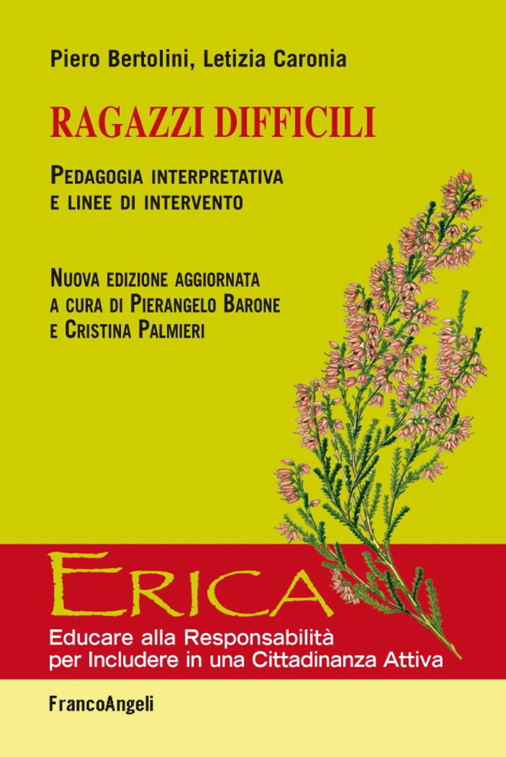 Ragazzi difficili. Pedagogia interpretativa e linee d'intervento (Erica) Education & Training