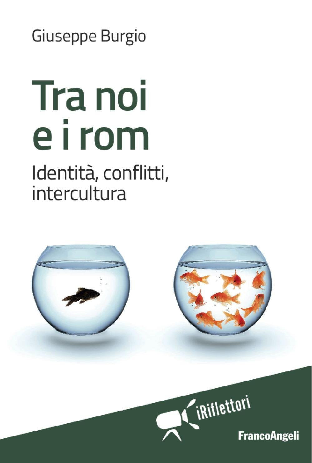 Tra noi e i rom. Identità, conflitti, intercultura book