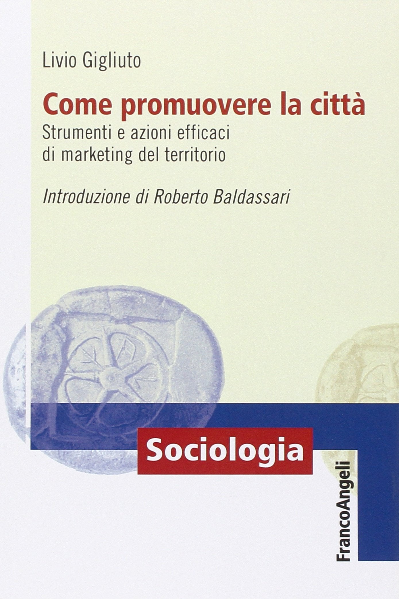 Come promuovere la città. Strumenti e azioni efficaci di marketing del territorio book