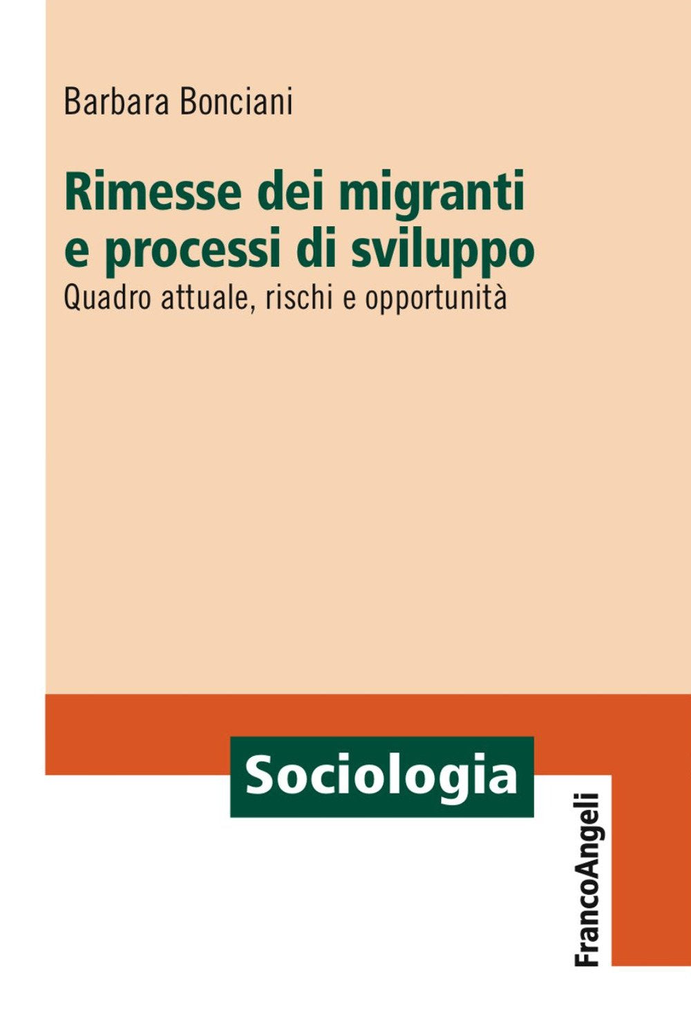 Rimesse dei migranti e processi di sviluppo. Quadro attuale, rischi e opportunità book