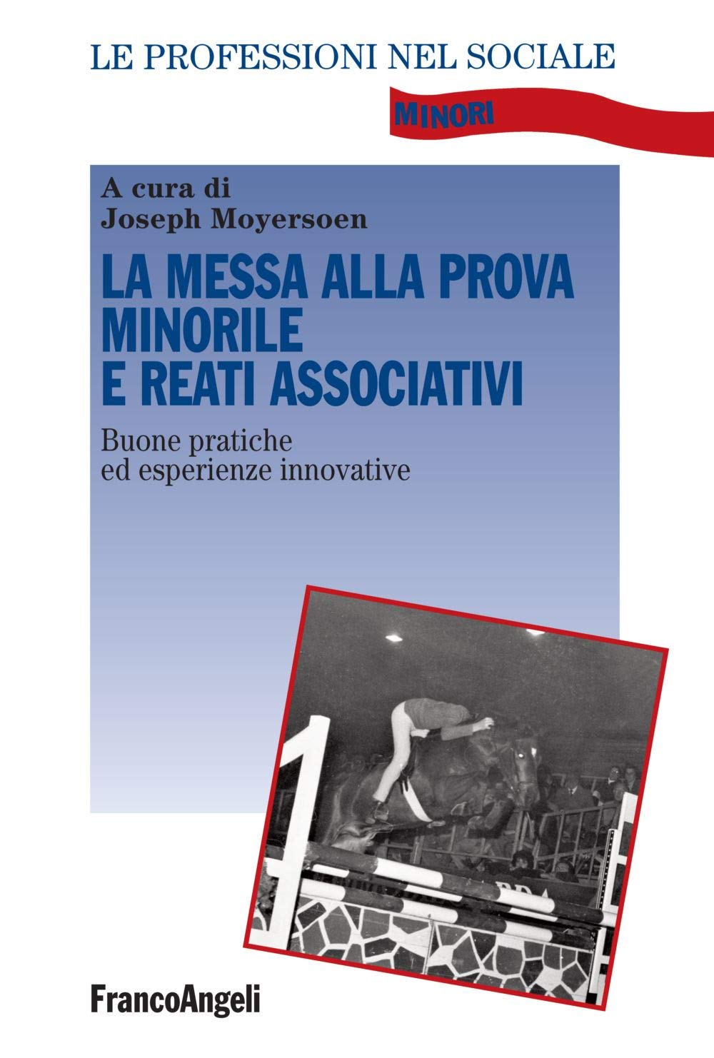 La messa alla prova minorile e reati associativi. Buone pratiche ed esperienze innovative book