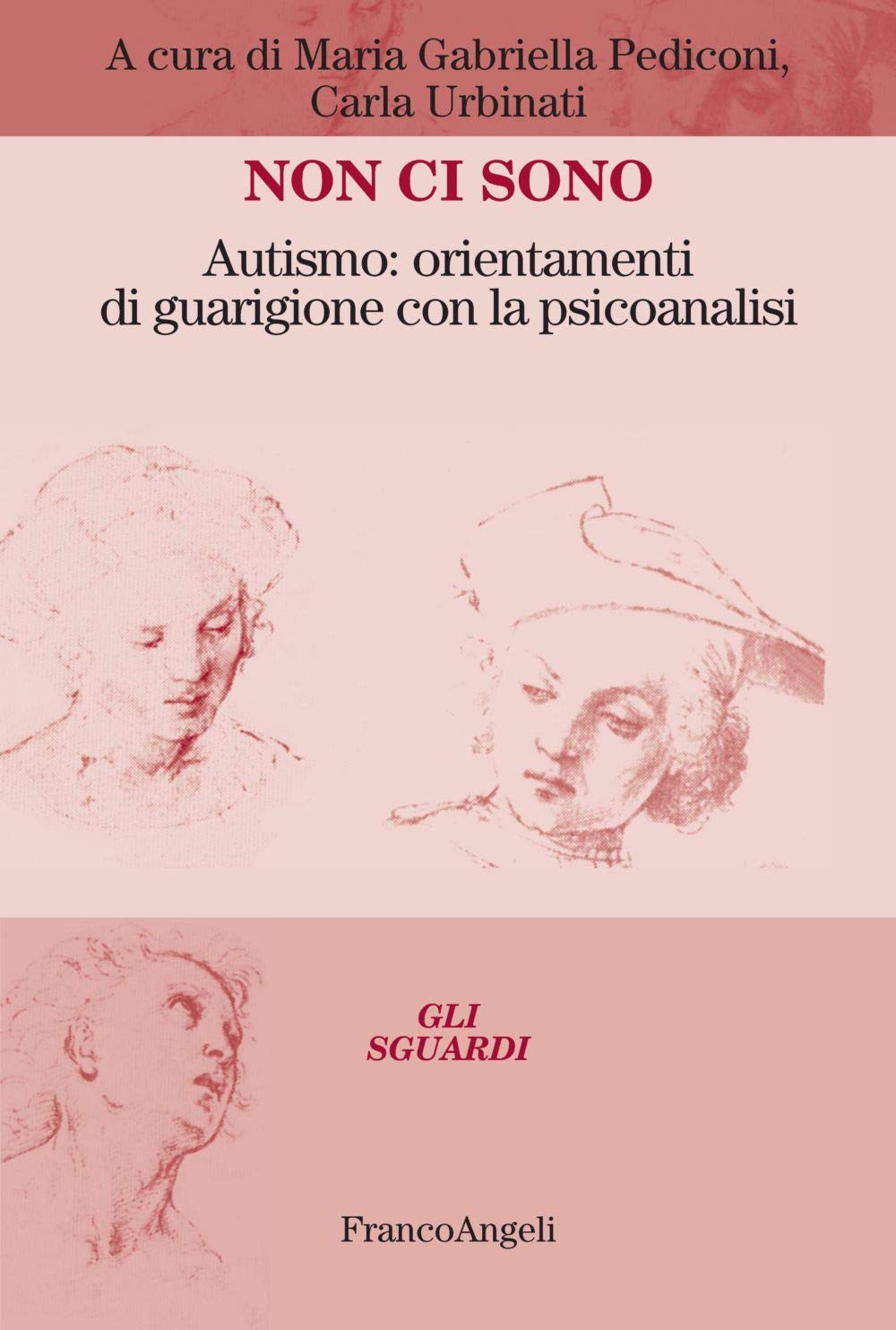 Non ci sono. Autismo: orientamenti di guarigione con la psicoanalisi book