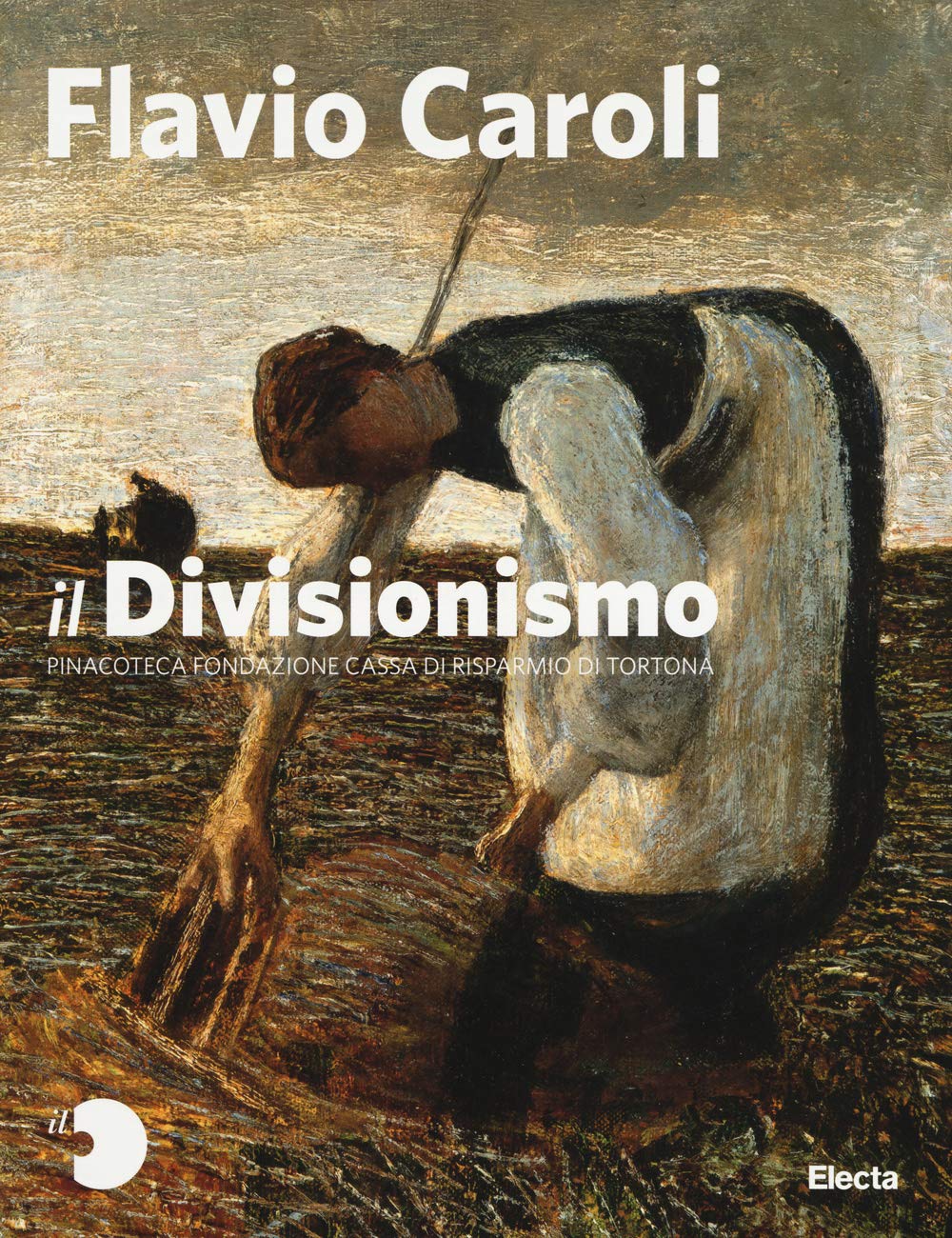 Il Divisionismo. Pinacoteca Fondazione Cassa di Risparmio di Tortona. Ediz. illustrata book