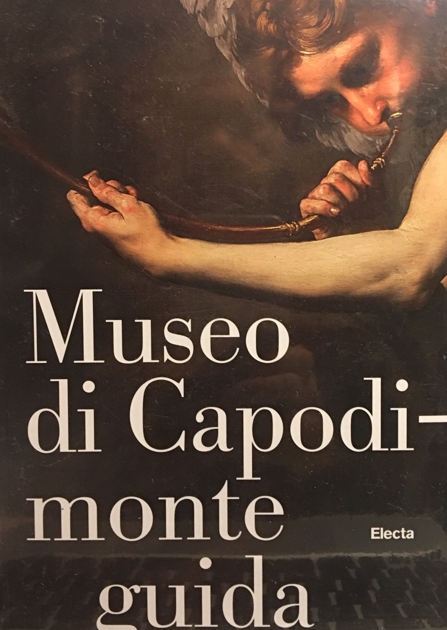 Product Image: Museo di Capodimonte (Guide)