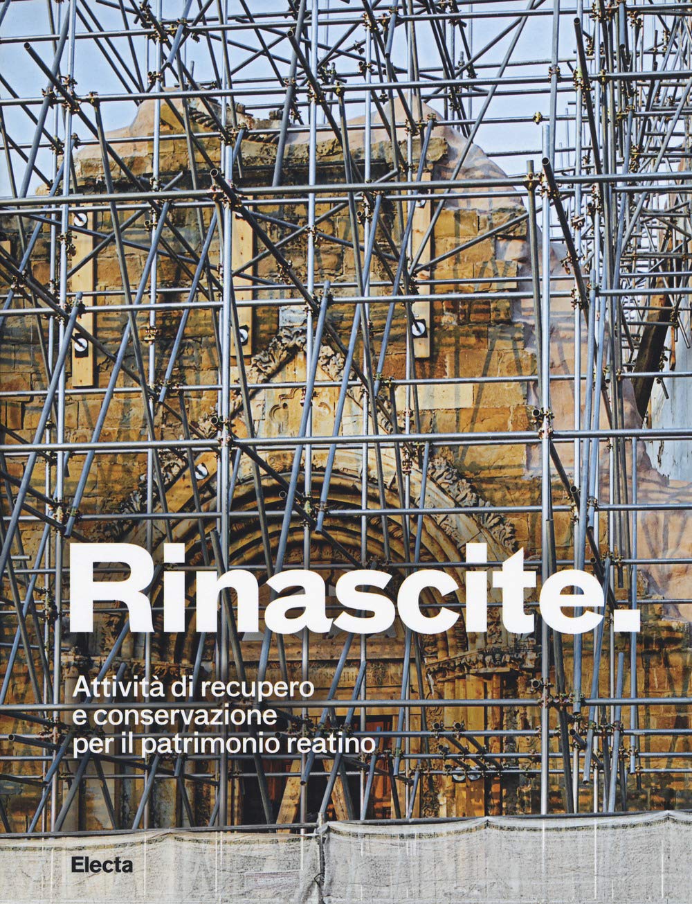 Rinascite. Attività di recupero e conservazione per il patrimonio reatino. Ediz. a colori Architecture