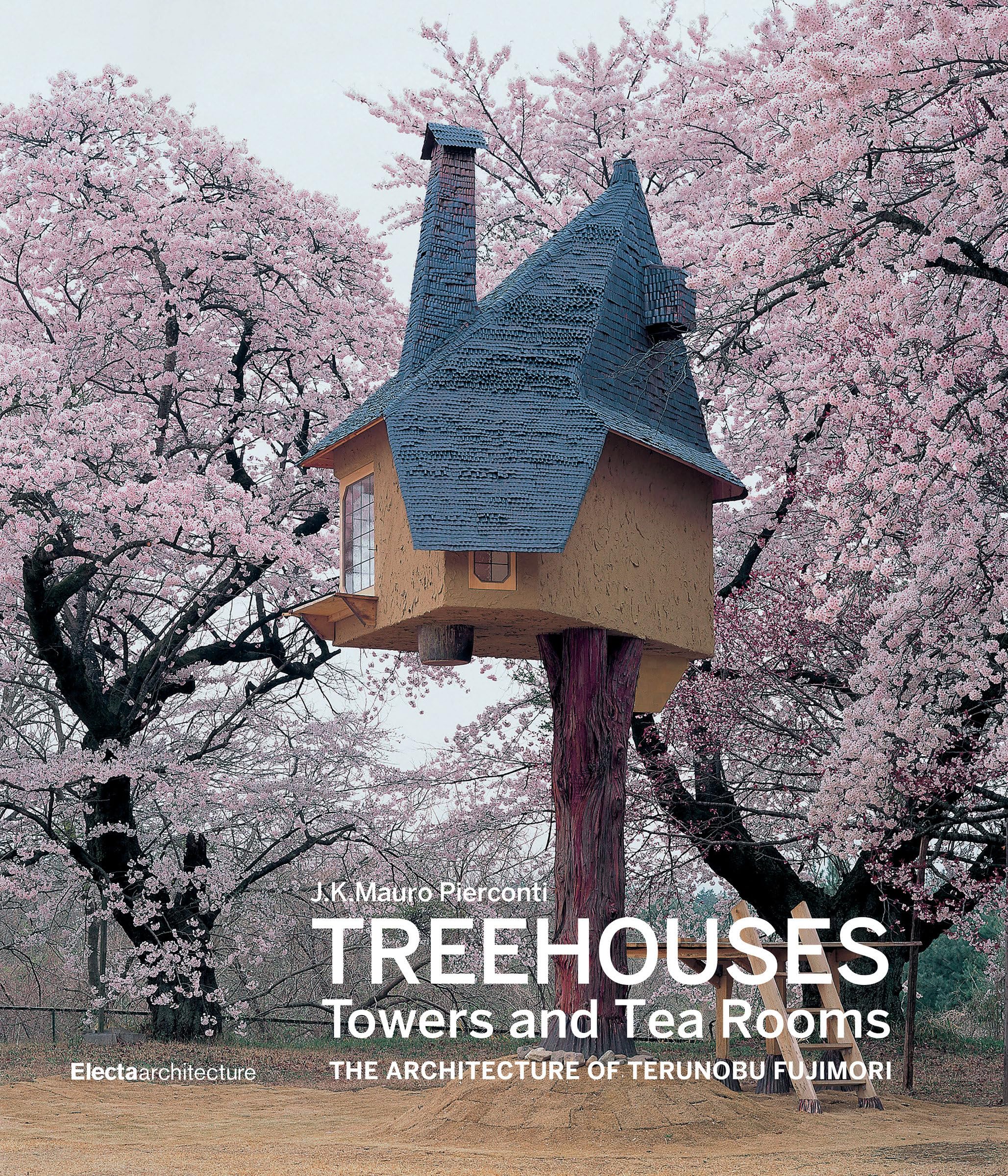 Treehouses, Towers, and Tea Rooms: The Architecture of Terunobu Fujimori Film, Art & Culture