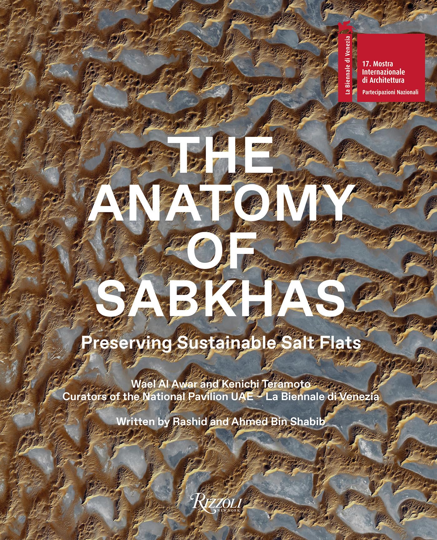 The Anatomy of Sabkhas book