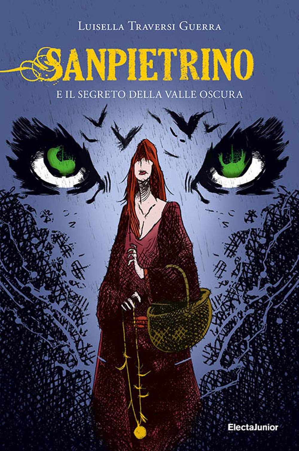 Sanpietrino e il segreto della Valle Oscura book