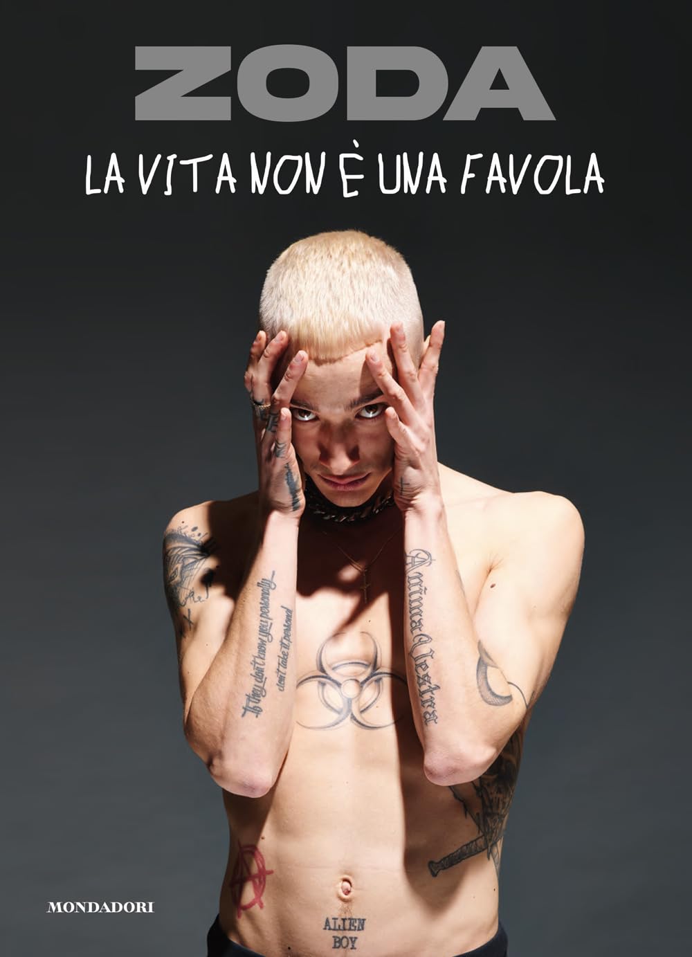 La vita non è una favola book