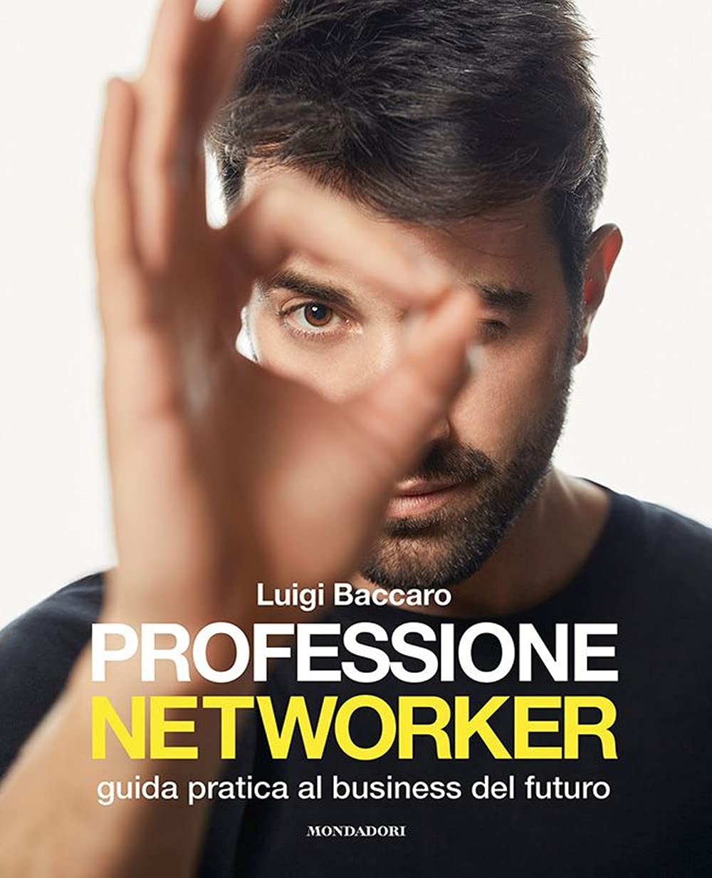 Professione networker. Guida pratica al business del futuro book