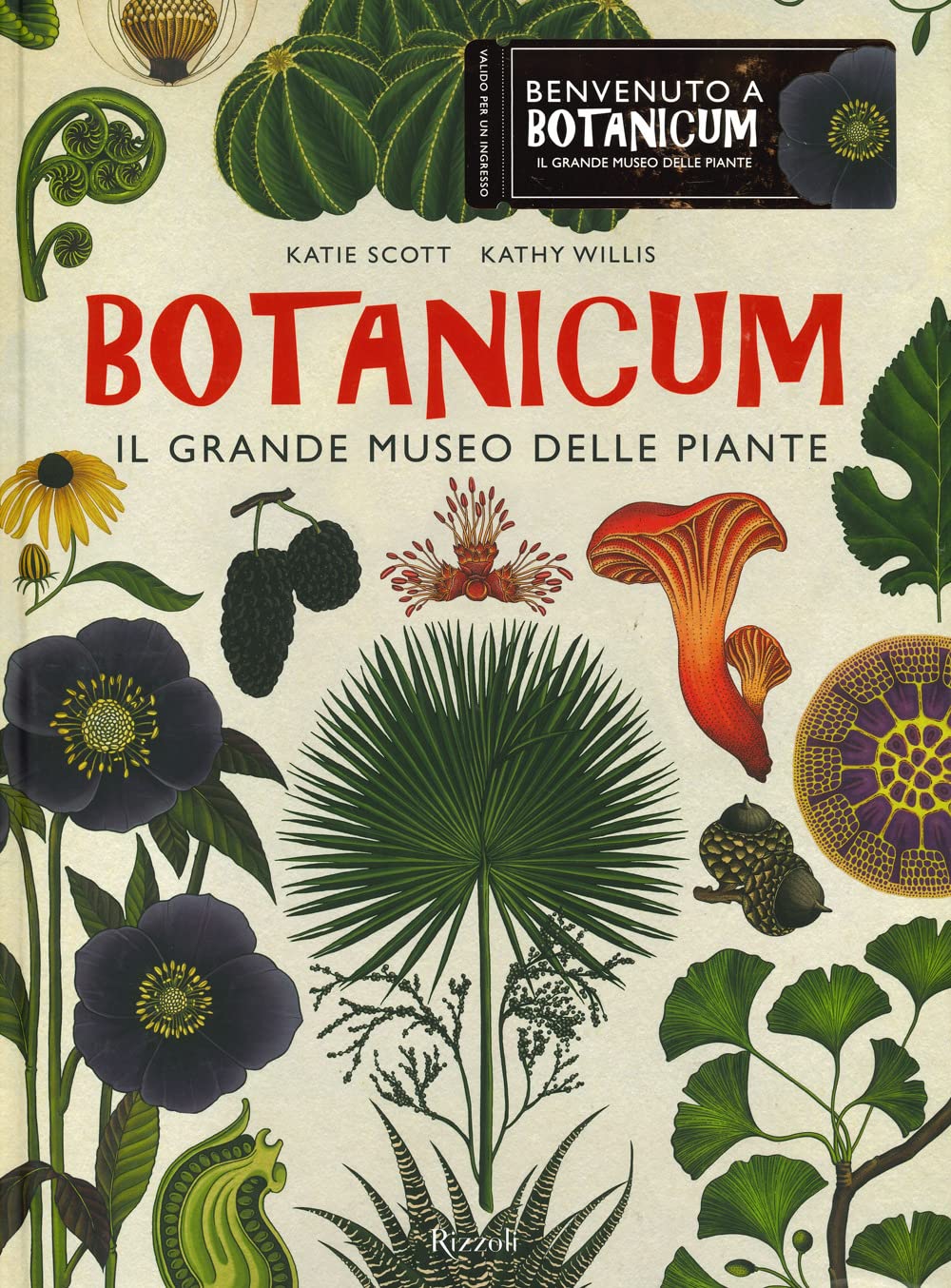 Botanicum. Il grande museo delle piante. Ediz. a colori (Rizzoli Illustrati) Non-fiction