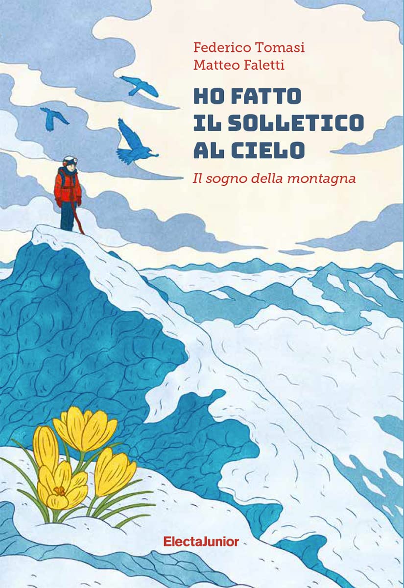 Ho fatto il solletico al cielo. Il sogno della montagna book