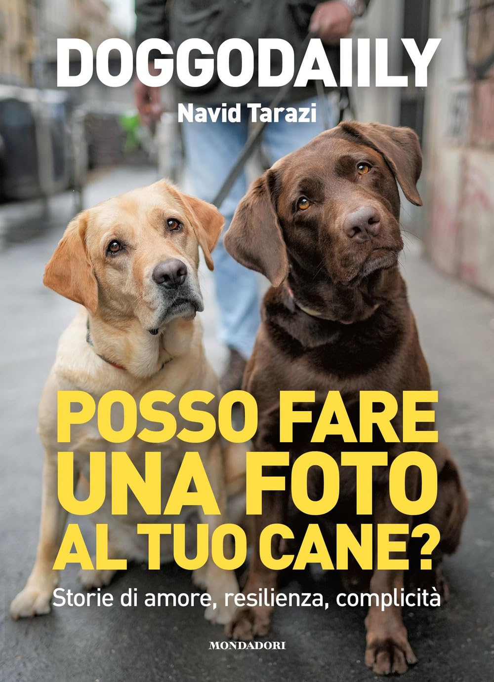 Posso fare una foto al tuo cane? Storie di amore, resilienza, complicità Memories