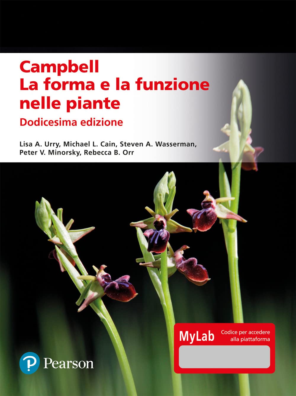 Campbell. La forma e la funzione nelle piante. Ediz. mylab (Scienze) Natural Sciences