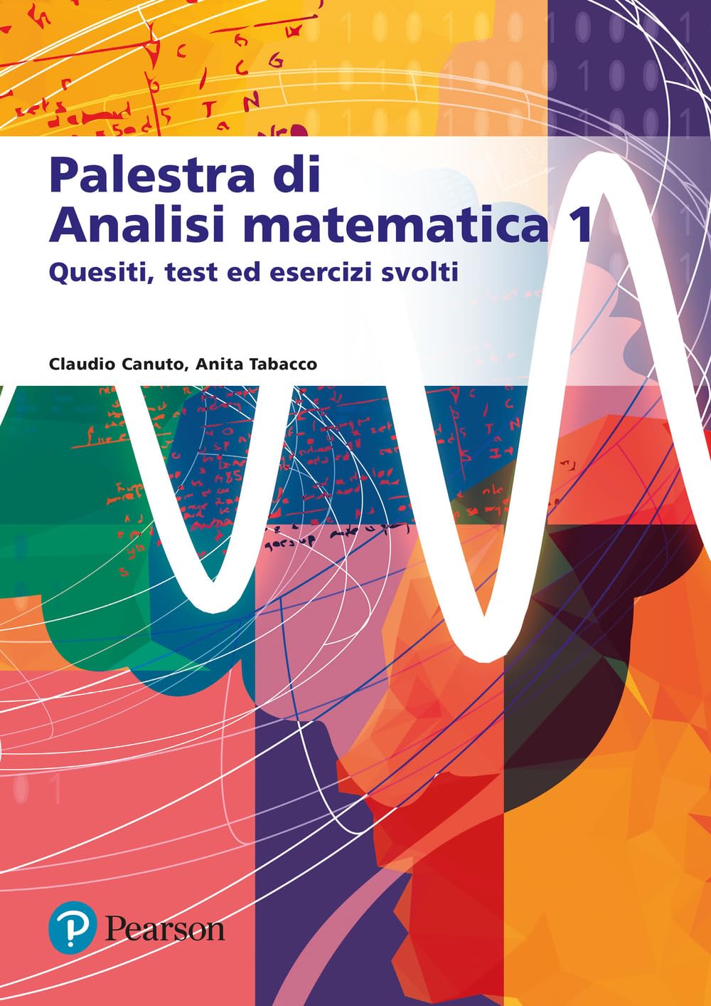Palestra di analisi matematica 1. Quesiti, test ed esercizi svolti Mathematics