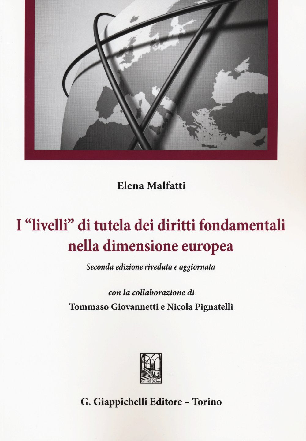 I «livelli» di tutela dei diritti fondamentali nella dimensione europea book