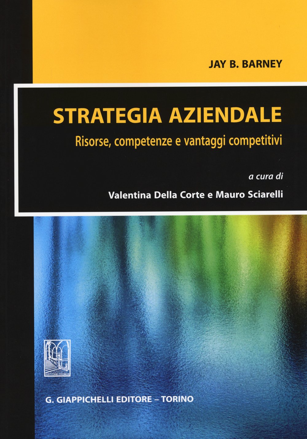 Strategia aziendale. Risorse, competenze e vantaggi competitivi book