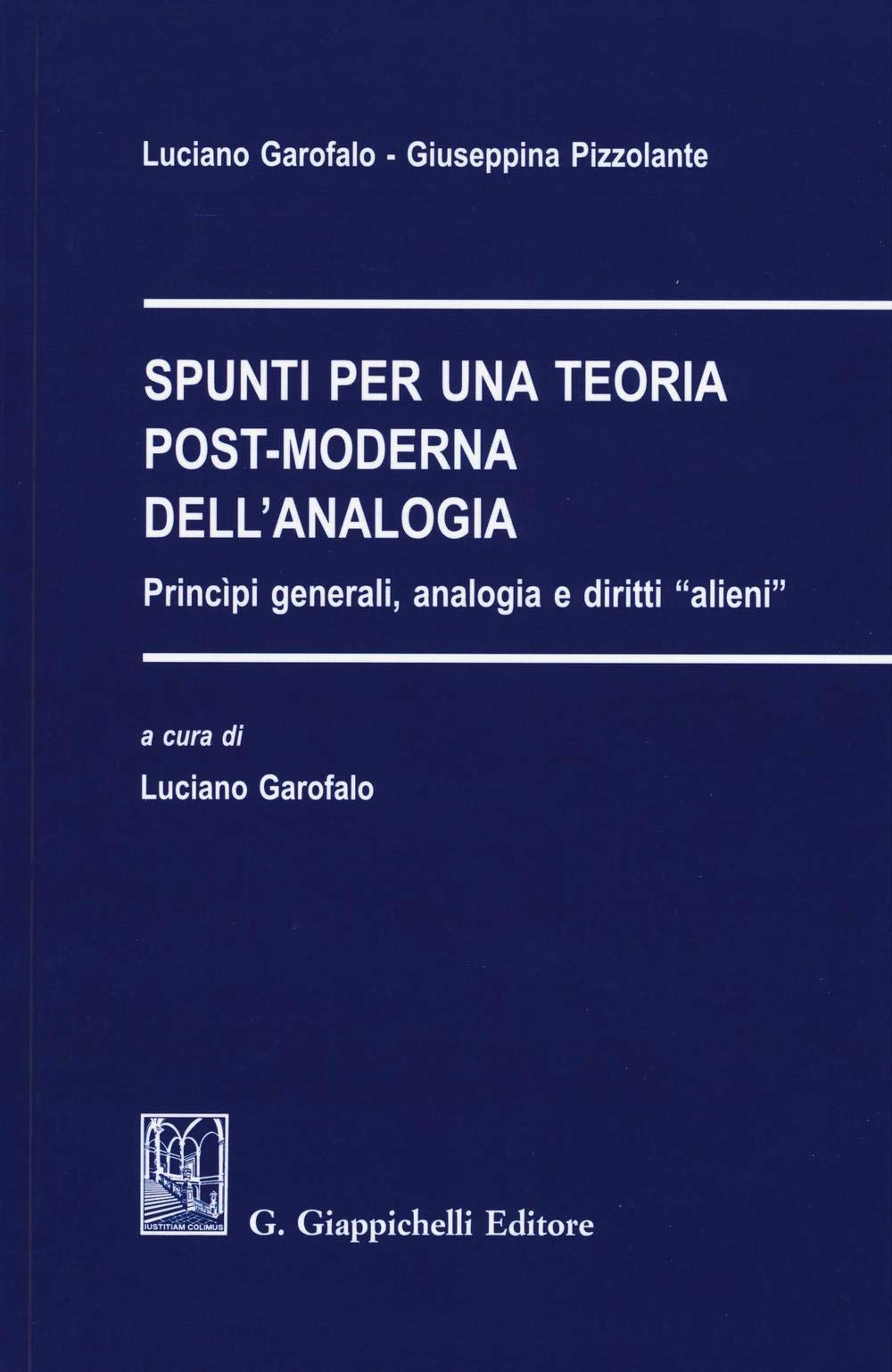 Spunti per una teoria post-moderna dell'analogia. Principi generali, analogia e diritti «alieni» book