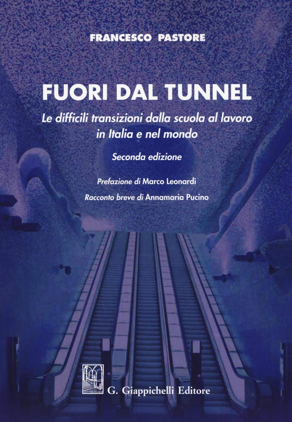 Fuori dal tunnel. Le difficili transizioni dalla scuola al lavoro in Italia e nel mondo book