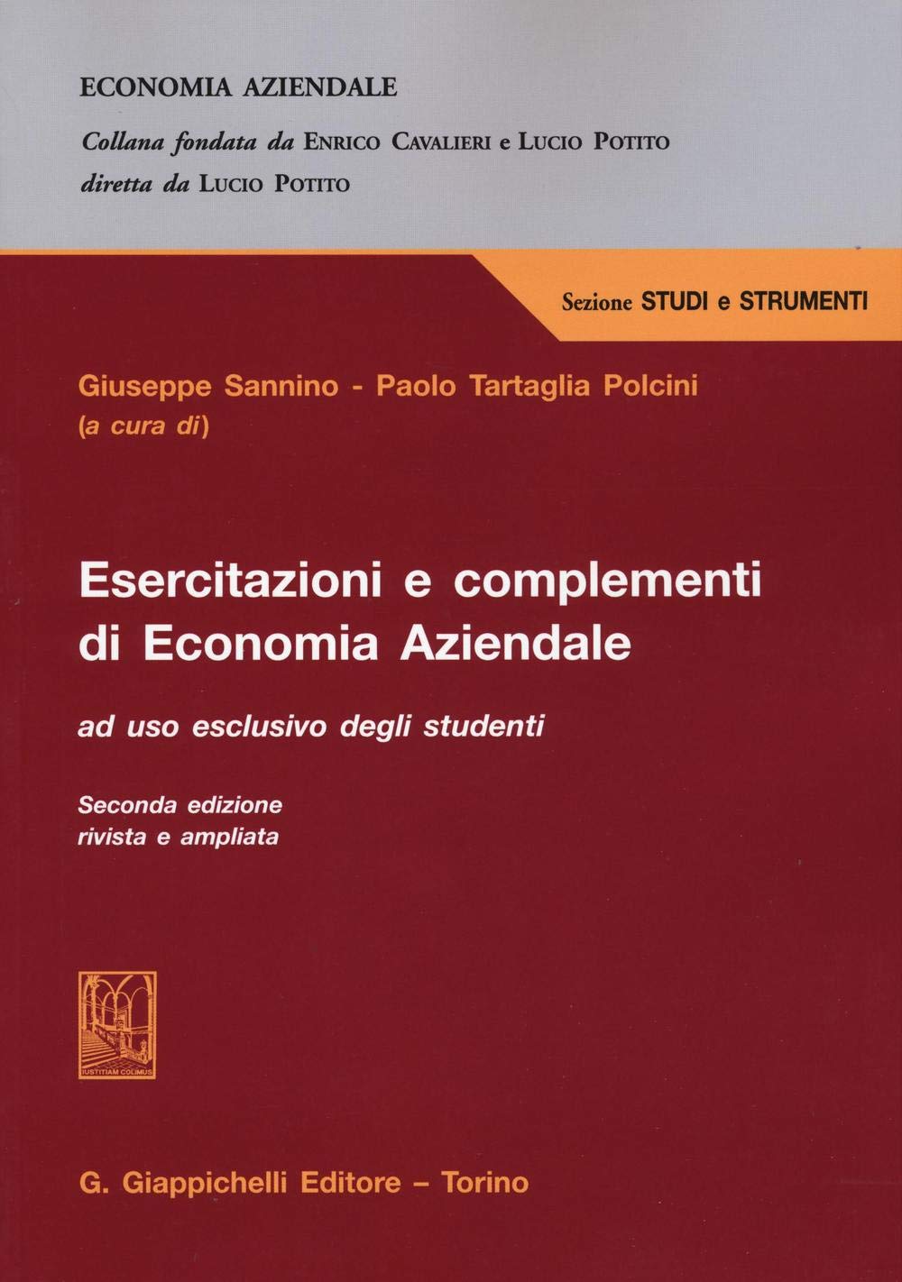 Esercitazioni e complementi di economia aziendale book