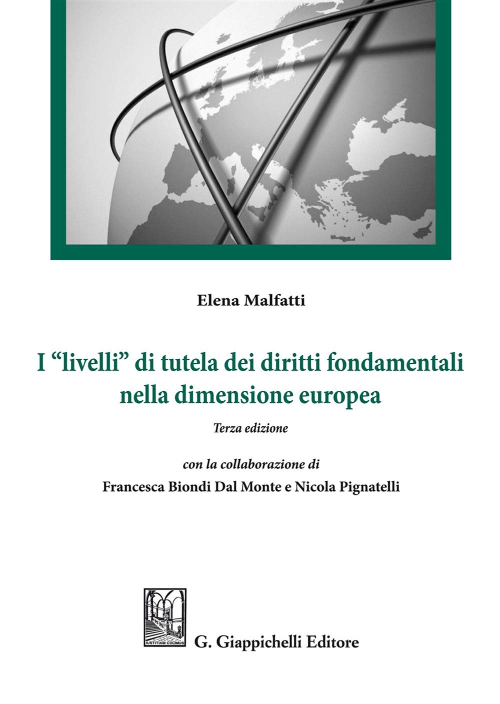 I «livelli» di tutela dei diritti fondamentali nella dimensione europea book