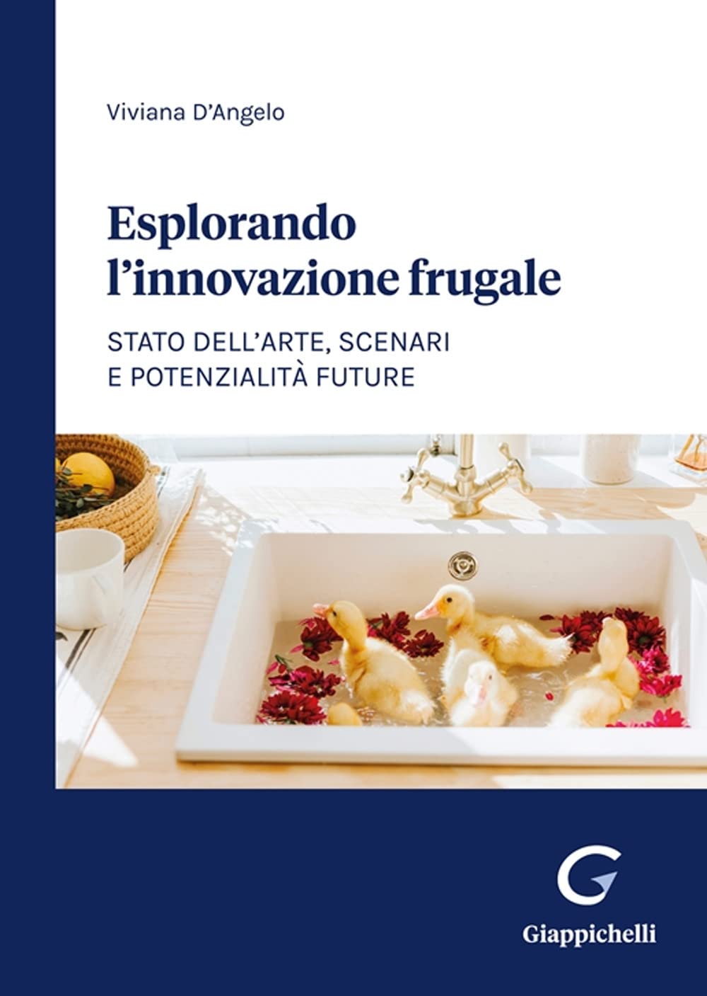 Esplorando l'innovazione frugale. Stato dell’arte, scenari e potenzialità future Business, Finance & Career